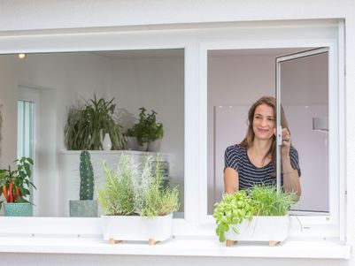 Leha Insektenschutz 3